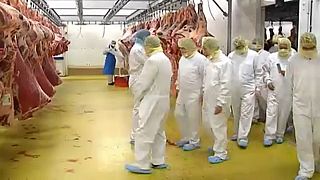 Из Бельгии в Косово "экспортировали тухлое мясо"