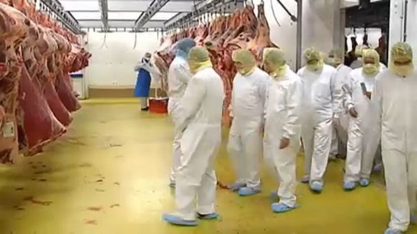 Из Бельгии в Косово "экспортировали тухлое мясо" Из Бельгии в Косово "экспортировали тухлое мясо"
