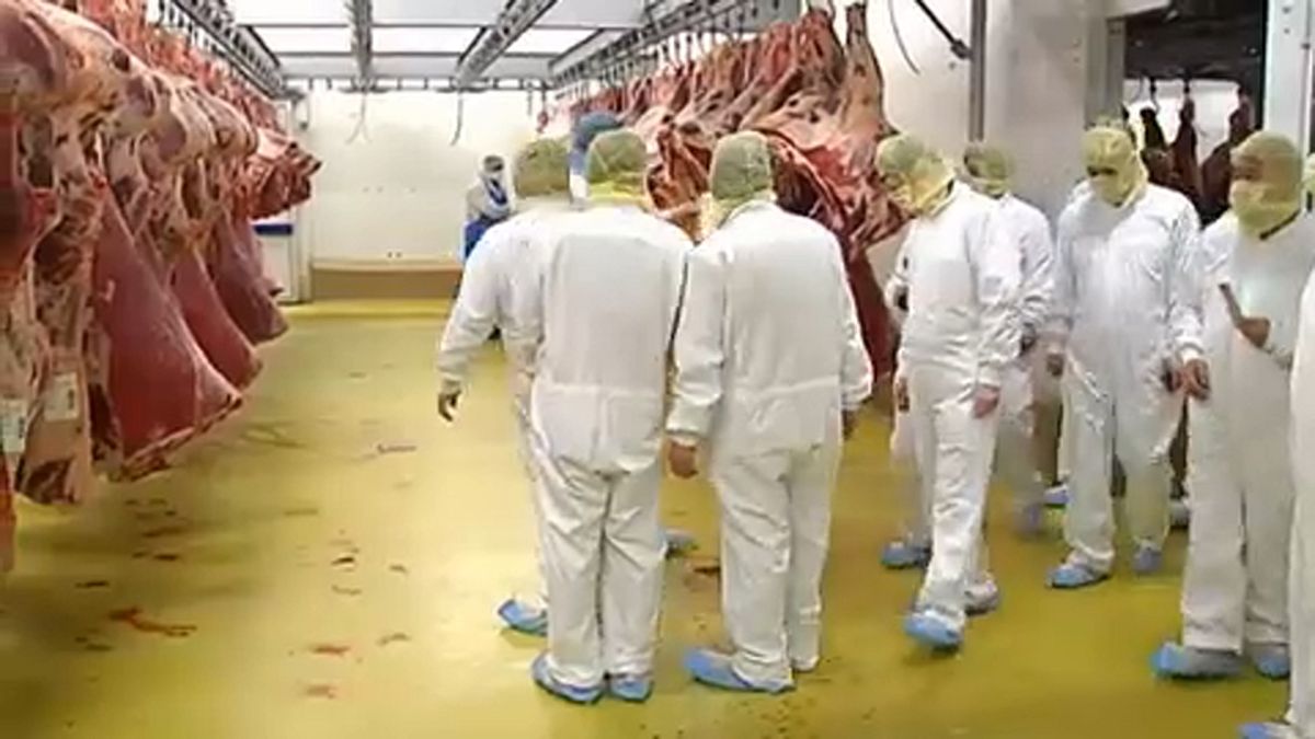 Belgique : nouveau scandale sur la viande de boeuf