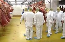 Belgique : nouveau scandale sur la viande de boeuf