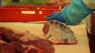 Scandalo carne avariata colpisce il Belgio