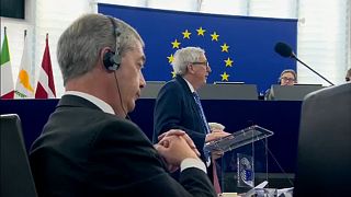 Brexit shouting match sparks in European Parliament