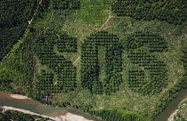 Alterações climáticas ameaçam espécies nas zonas mais ricas do planeta