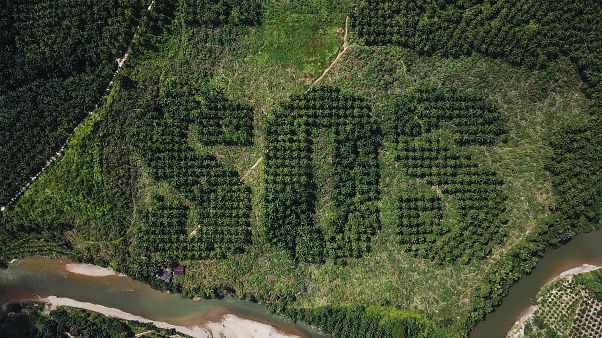 Alterações climáticas ameaçam espécies nas zonas mais ricas do planeta Alterações climáticas ameaçam espécies nas zonas mais ricas do planeta