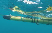 Un arsenal de robots suréquipés pour explorer les fonds marins