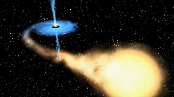 La contribution de Stephen Hawking La contribution de Stephen Hawking