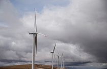 Portugal 100% verde durante quase três dias