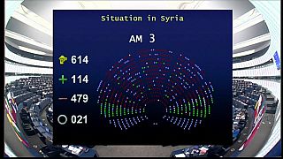 Il parlamento europeo ad Ankara: "Ritiri le truppe da Afrin"