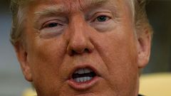 Trump on Skripal poisoning: 'It looks like the Russians were behind it'