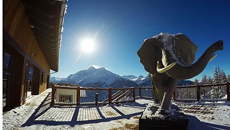 On Hannibal's trail in the Alps
