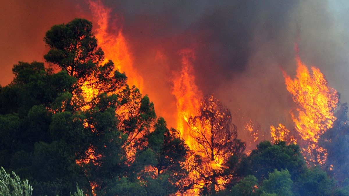 130 δασικές πυρκαγιές σε ένα 24ωρο