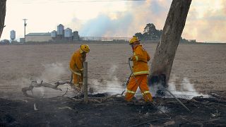 Hundreds flee Australian bush fires