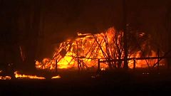 Australien: Heftige Waldbrände und Wirbelsturm