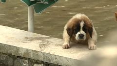 Хорватия под водой