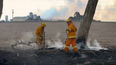 Incendie en Australie
