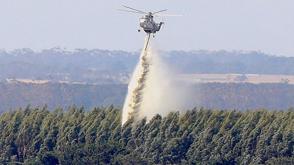 Avustralya'da yangın: Onlarca ev küle döndü Avustralya'da yangın: Onlarca ev küle döndü