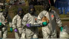EU offers UK 'unqualified solidarity' over Salisbury nerve agent attack
