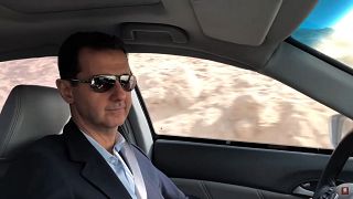 الأسد بالسيارة