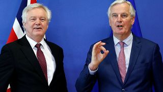 Barnier sulla Brexit: "C'è il testo dell'accordo, ma resta il nodo dell'Irlanda"