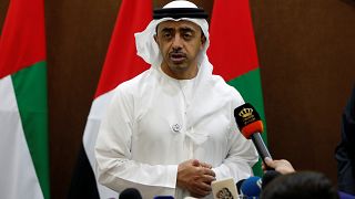 وزير خارجية الإمارات عبدالله بن زايد