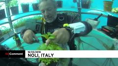 Un jardin potager sous-marin à l'essai en Italie