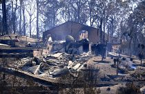 Buschfeuer zerstören zahlreiche Häuser in Australien
