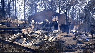 Buschfeuer zerstören zahlreiche Häuser in Australien