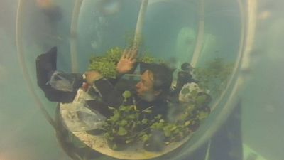 باغ زیردریایی؛ راه‌حلی نوآورانه برای کشاورزی در کشورهای خشک