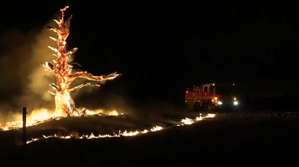 Австралия в огне Австралия в огне