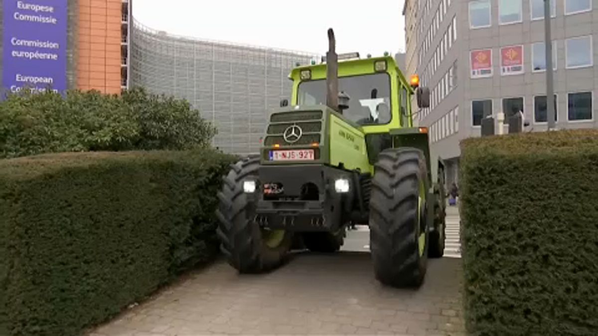 Belçikalı çiftçiler gelecekleri için endişeli