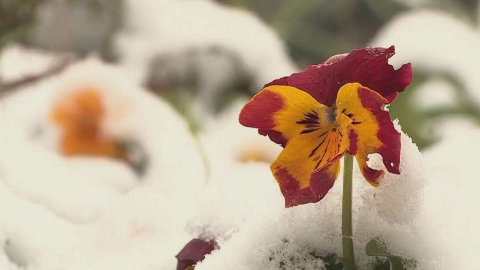 Noch mal Winter in Europa