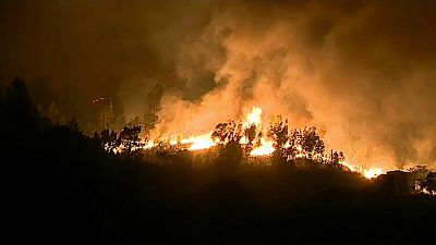 Le Portugal va indemniser les familles de victimes des incendies