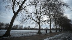 Frühling mit Schnee: 11 der coolsten Tweets