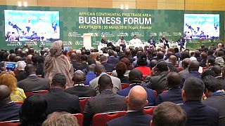 L'Union africaine crée sa zone de libre-échange