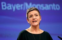 União Europeia aprova fusão entre Bayer e Monsanto