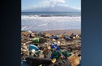 The beach at Kanapou Bay, Hawaii, collects debris from the Pacific