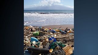 The beach at Kanapou Bay, Hawaii, collects debris from the Pacific