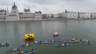 Greenpeace Hungary take protest to the river