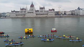 Greenpeace contra una polémica central nuclear en Hungría
