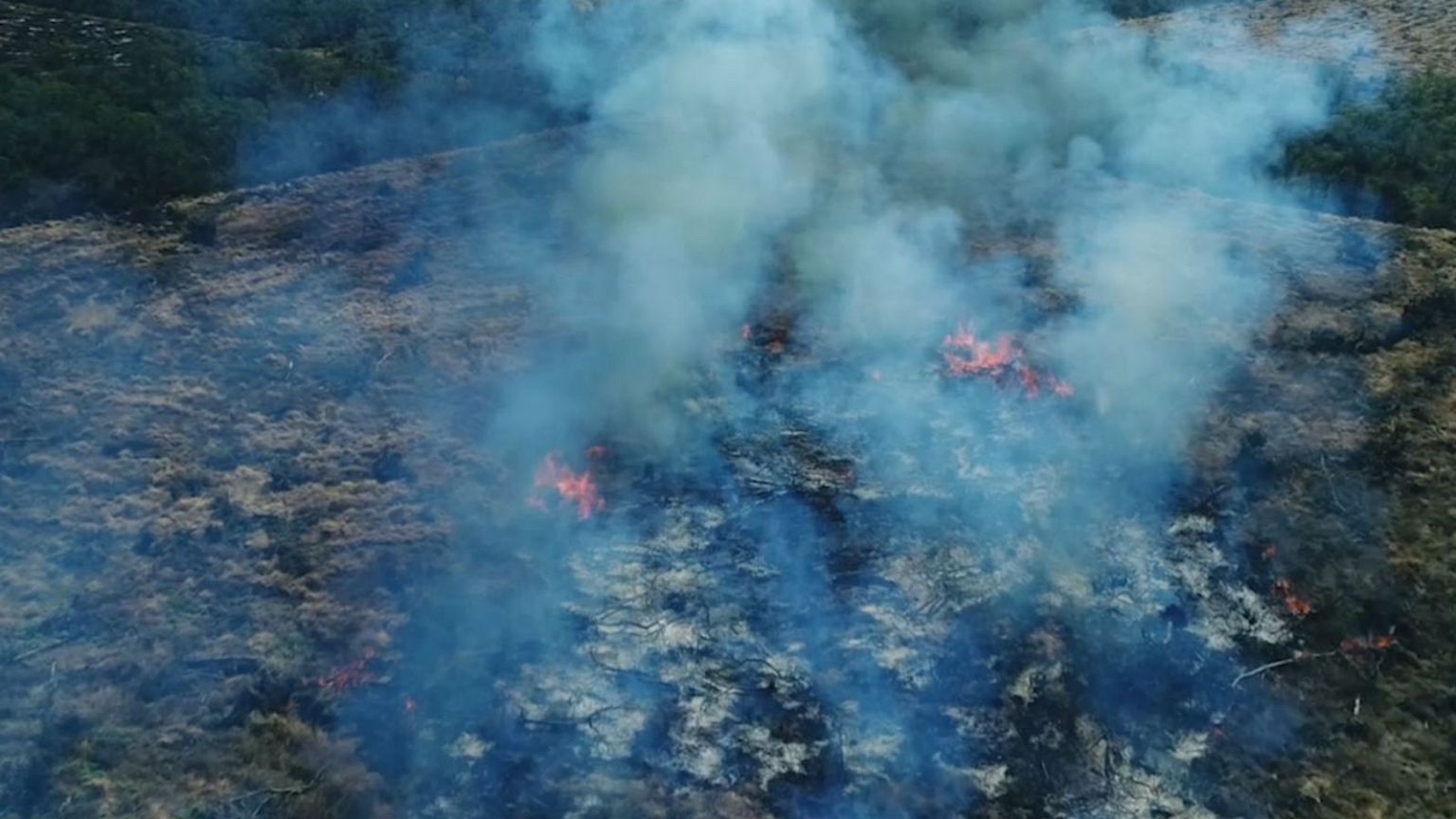This is what your burger is doing to South America's forests