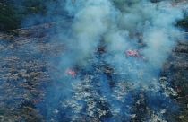This is what your burger is doing to South America's forests