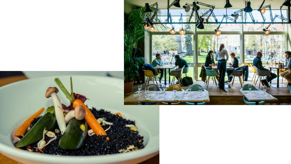 Estonia celebrates 100 years with major art exhibition | Euronews