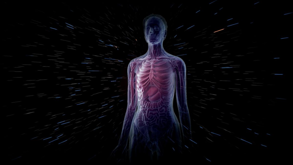 دانشمندان موفق به کشف عضو ناشناخته بدن انسان شدند 