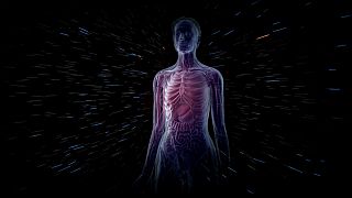 دانشمندان موفق به کشف عضو ناشناخته بدن انسان شدند