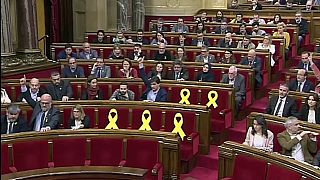 El Parlament defiende el "derecho" de Puigdemont a ser investido