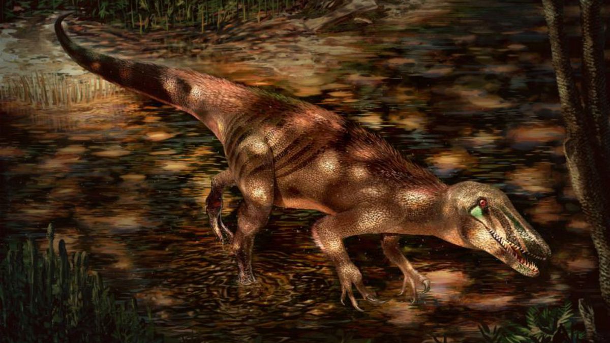 صورة توضيحية للديناصور تراتاينيا.