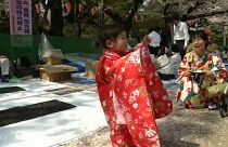 شکوفه‌های زودهنگام گیلاس در ژاپن