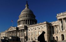 نامزدی یک دلقک در انتخابات کنگره آمریکا