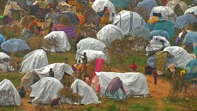 Беженцы оромо в Кении