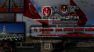 Türk hackerlar Suudi prensin websitesini erişime kapattı